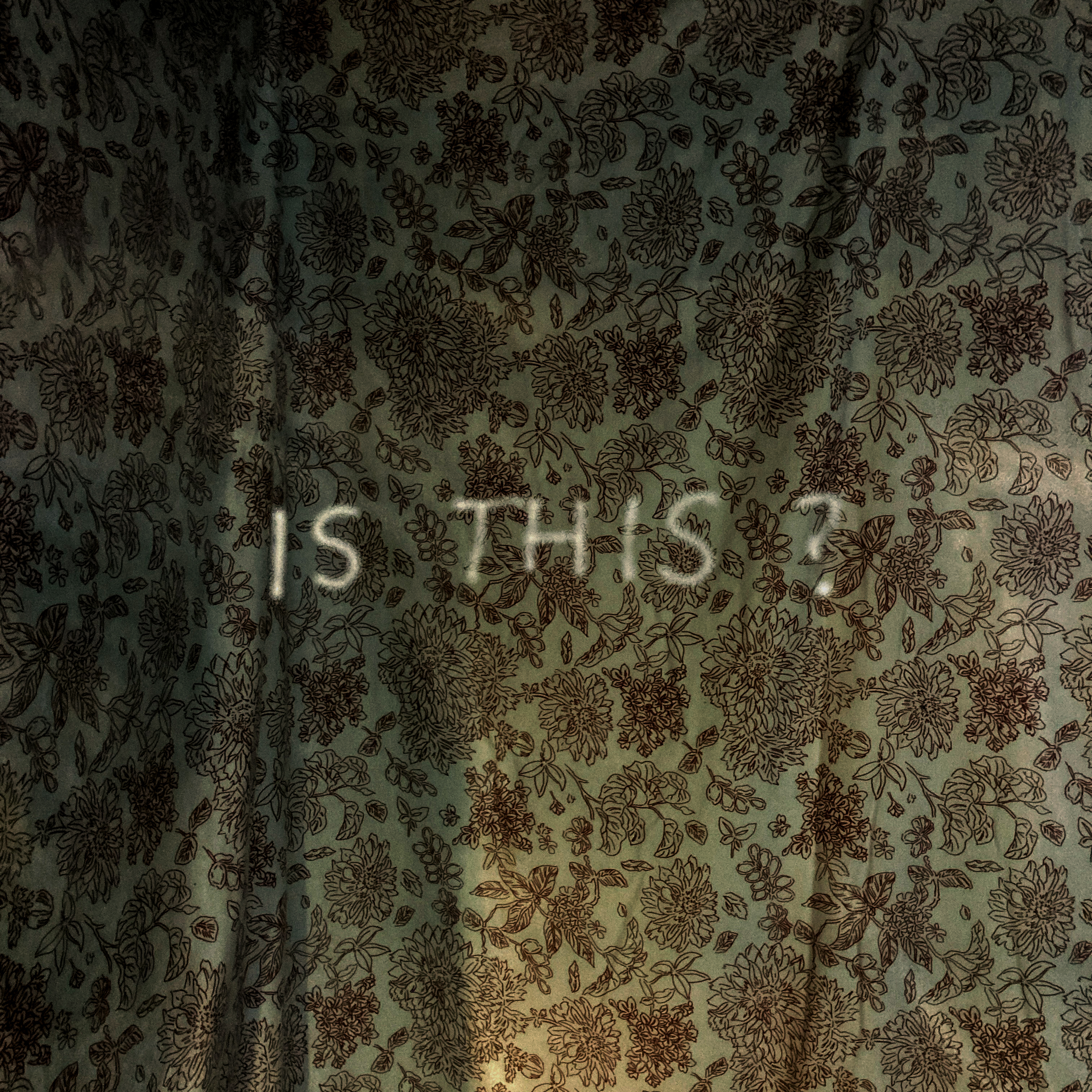 Is This?